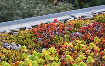 the cost of Cowpen Bewley green roof installation