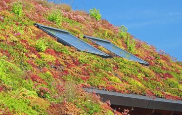 Cowpen Bewley living roof systems